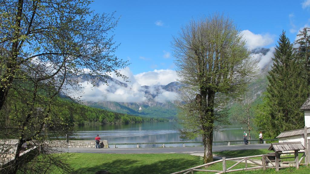 Apartment Zalokar Bohinj Δωμάτιο φωτογραφία
