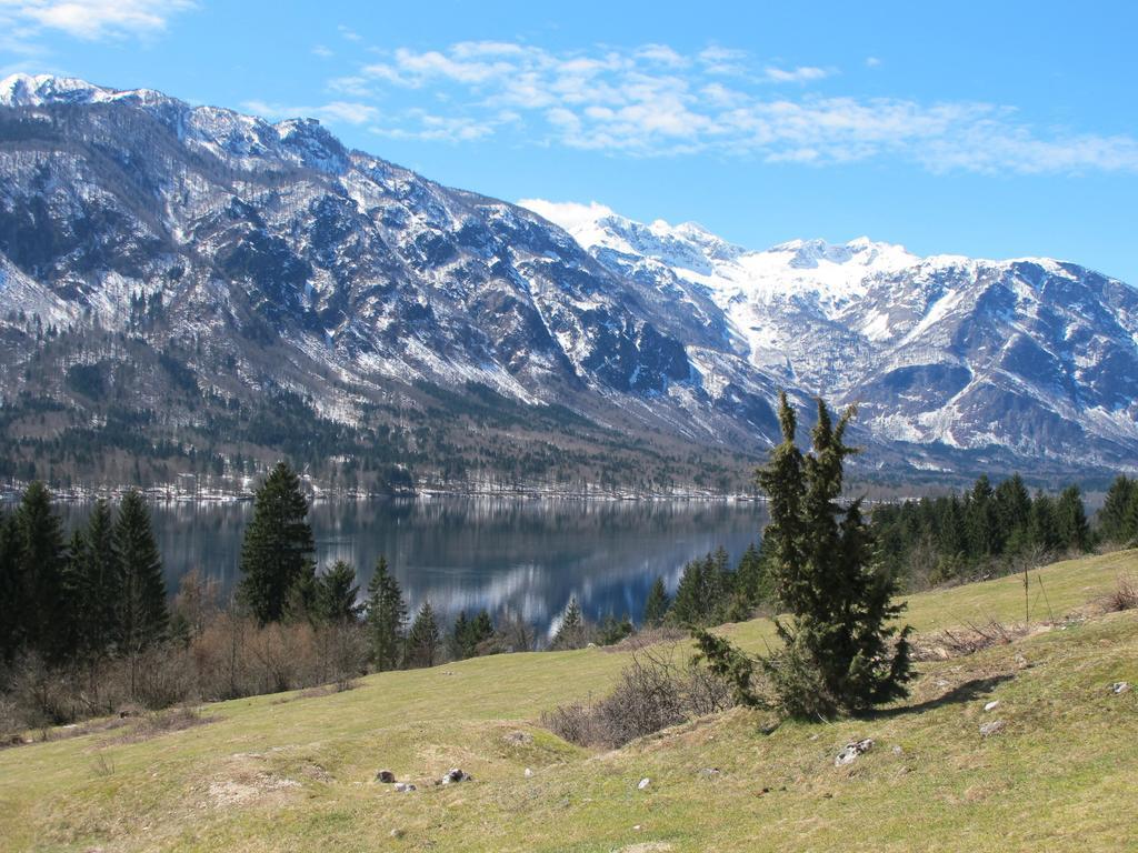 Apartment Zalokar Bohinj Δωμάτιο φωτογραφία