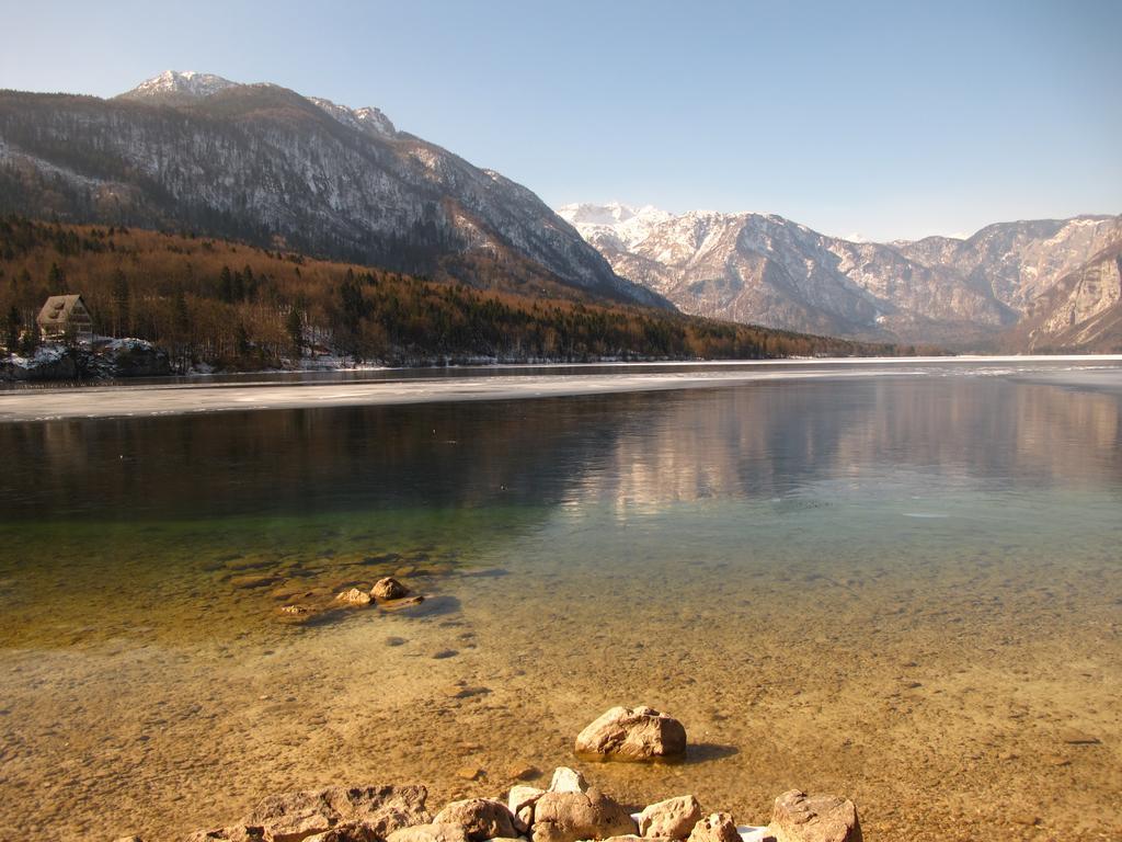 Apartment Zalokar Bohinj Δωμάτιο φωτογραφία
